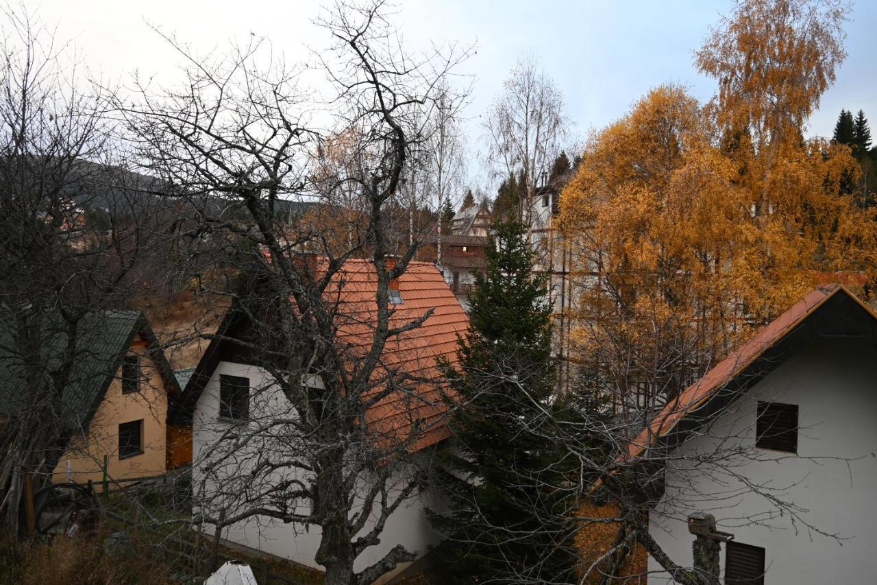 Apartman Vukasin 카파오닉 외부 사진