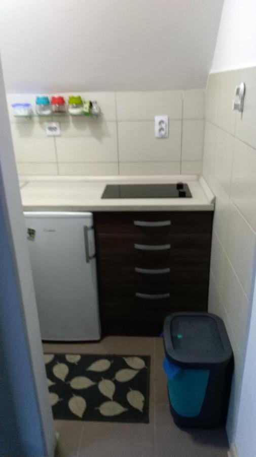 Apartman Vukasin 카파오닉 외부 사진